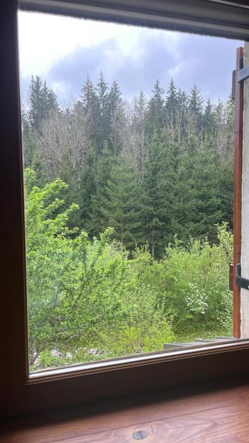 Villa L'Ermitage De Meyriat Brenod Esterno foto