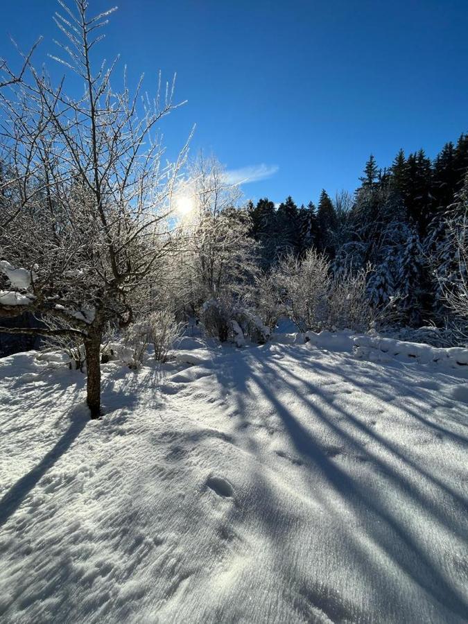 Villa L'Ermitage De Meyriat Brenod Esterno foto